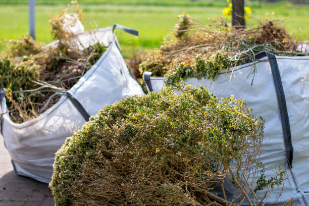 Reliable Bardmoor, FL Junk Removal Services Solutions